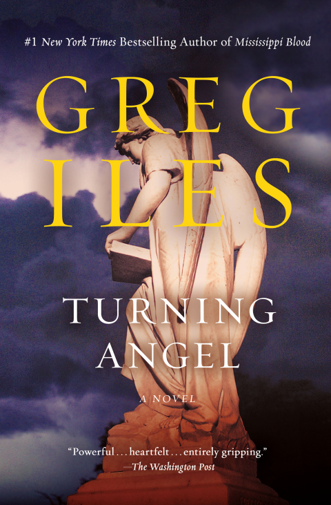 Cover image for book Turning Angel