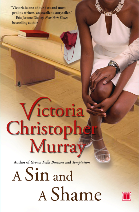 Cover image for book A Sin and a Shame