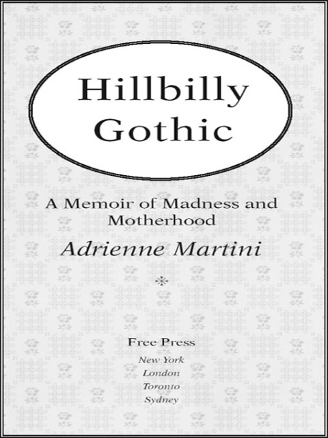 Cover image for book Hillbilly Gothic