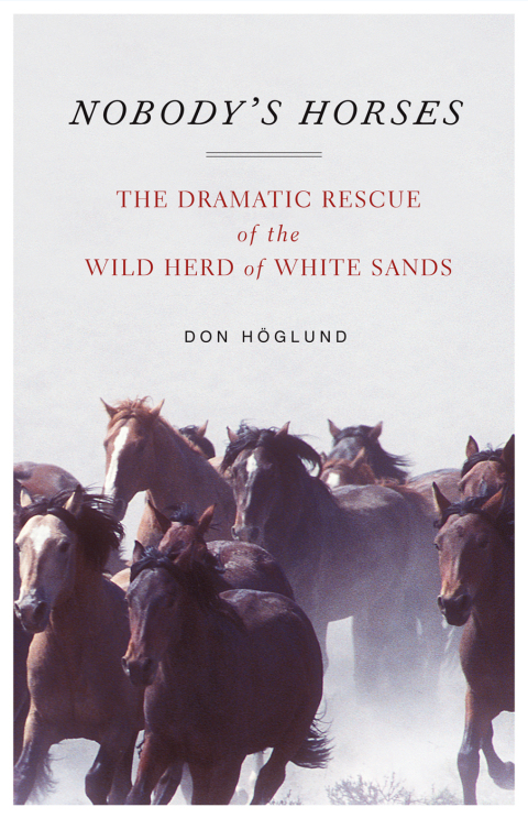 Cover image for book Nobody's Horses