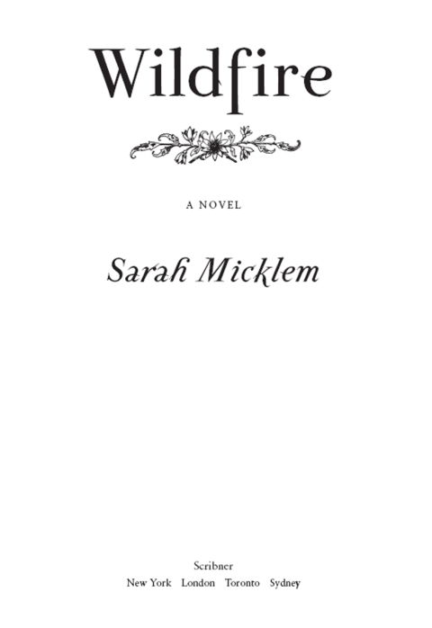 Cover image for book Wildfire