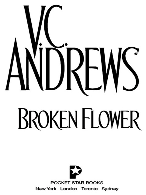 Cover image for book Broken Flower