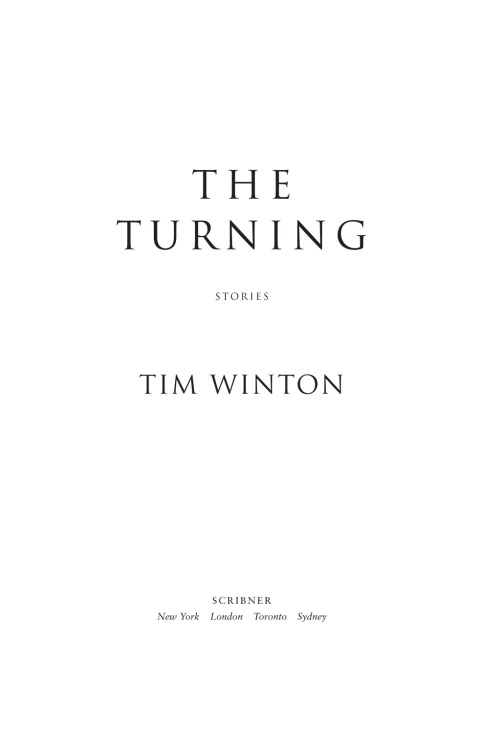 Cover image for book The Turning