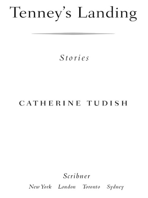 Cover image for book Tenney's Landing