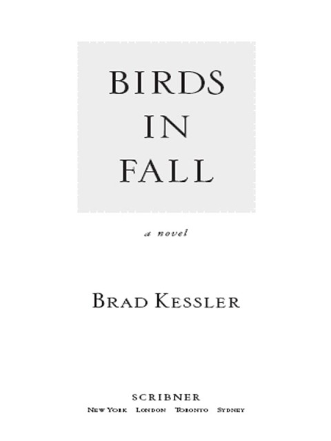 Cover image for book Birds in Fall