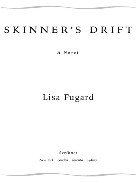 Cover image for book Skinner's Drift