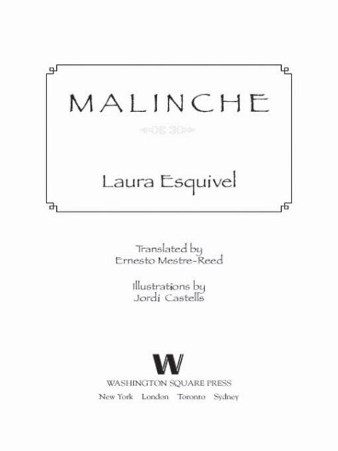 Cover image for book Malinche