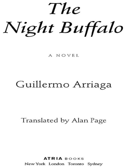 Cover image for book The Night Buffalo
