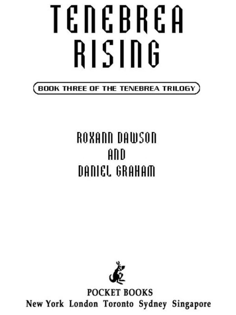 Cover image for book Tenebrea Rising