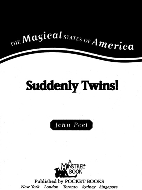 Cover image for book Suddenly Twins!