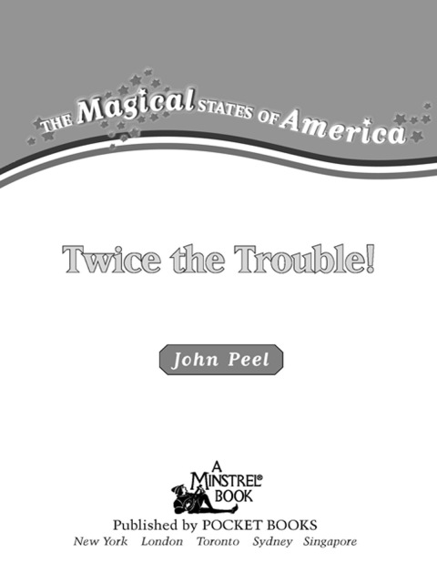 Cover image for book Twice the Trouble