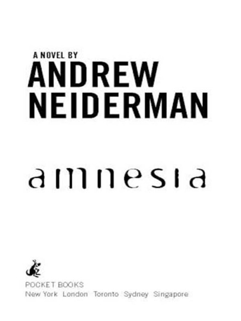 Cover image for book Amnesia