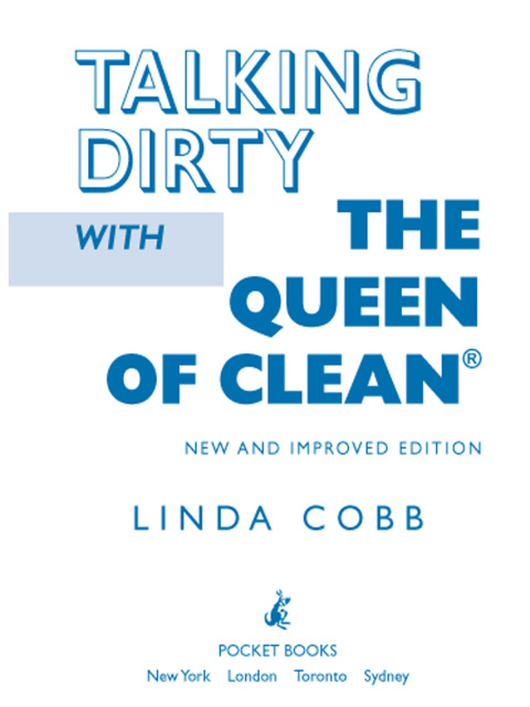 Cover image for book Talking Dirty With The Queen Of Clean
