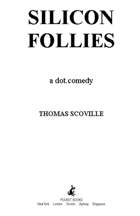 Cover image for book Silicon Follies