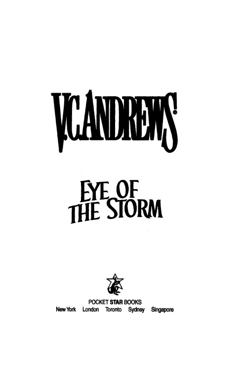 Cover image for book Eye of the Storm