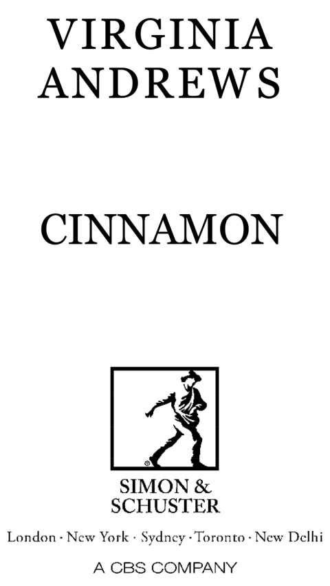 Cover image for book Cinnamon