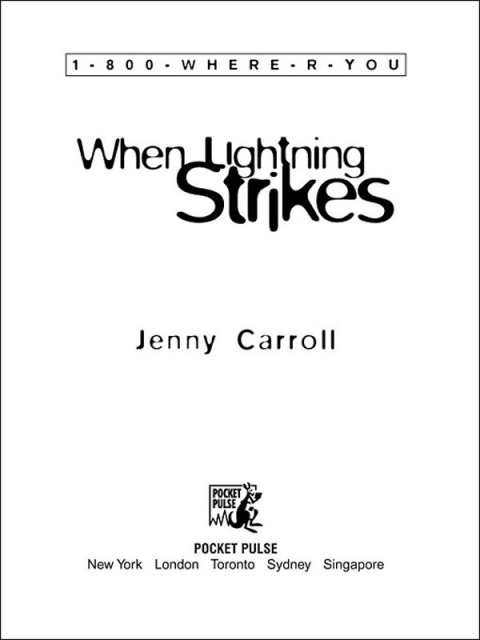 Cover image for book When Lightning Strikes