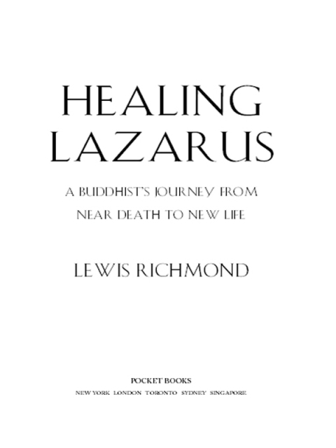 Cover image for book Healing Lazarus
