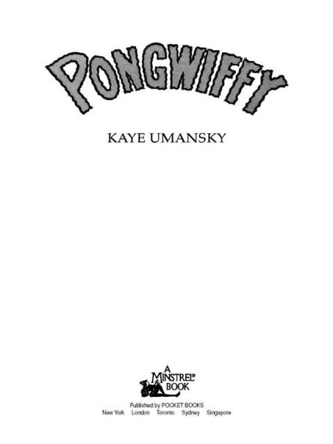 Cover image for book Pongwiffy