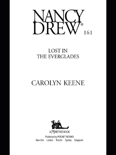 Cover image for book Lost in the Everglades