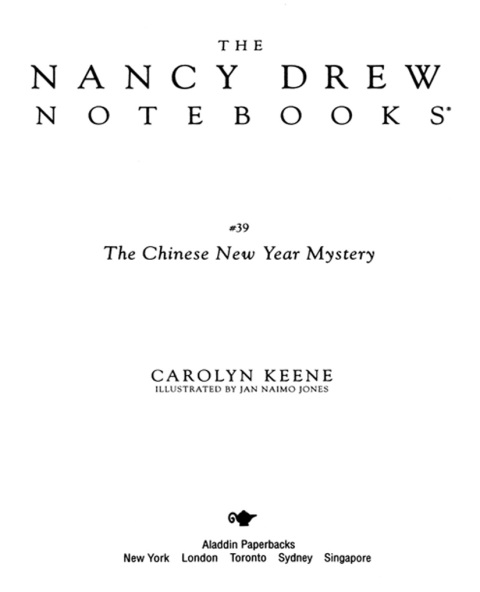 Cover image for book The Chinese New Year Mystery