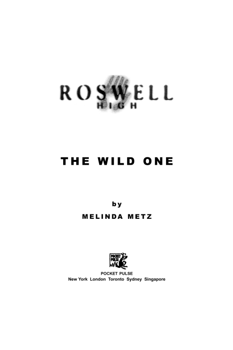 Cover image for book The Wild One