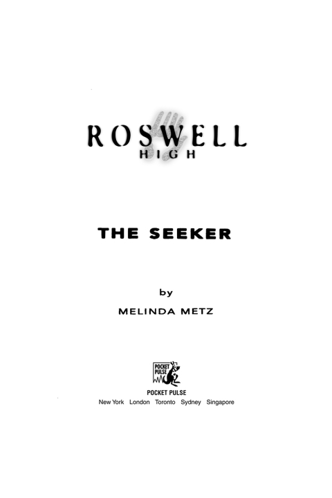 Cover image for book The Seeker