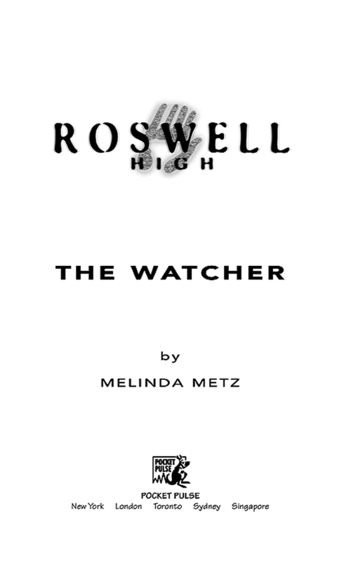 Cover image for book The Watcher