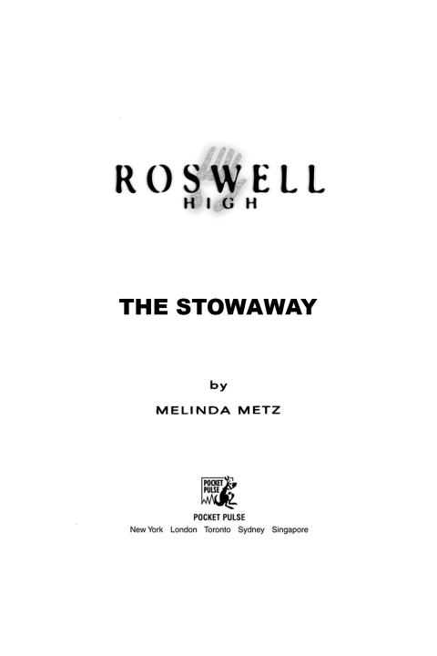 Cover image for book The Stowaway
