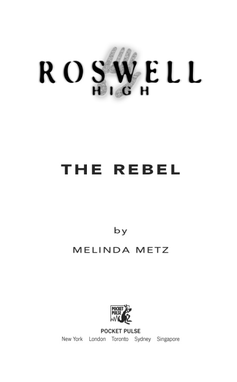Cover image for book The Rebel