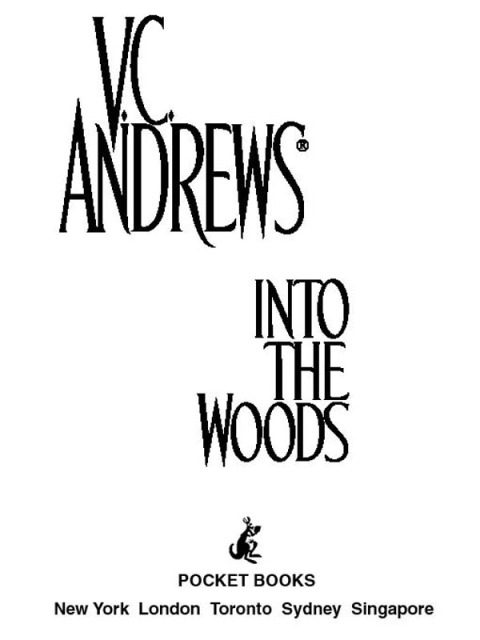 Cover image for book Into The Woods