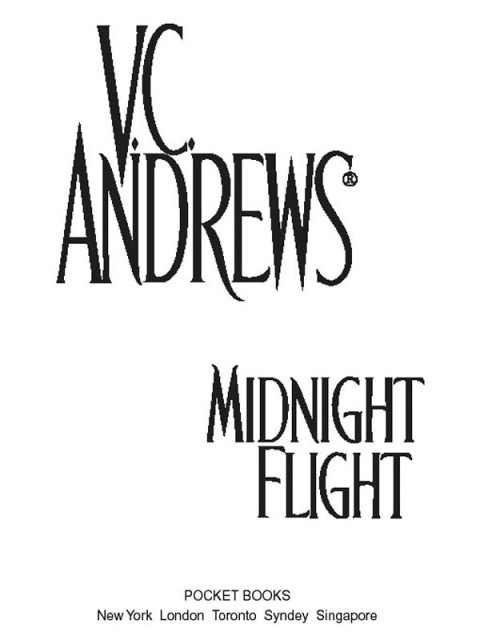 Cover image for book Midnight Flight
