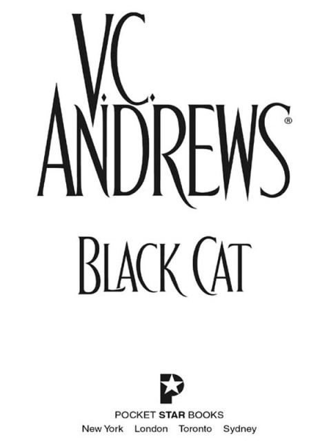Cover image for book Black Cat