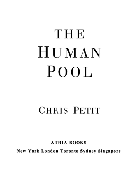 Cover image for book The Human Pool