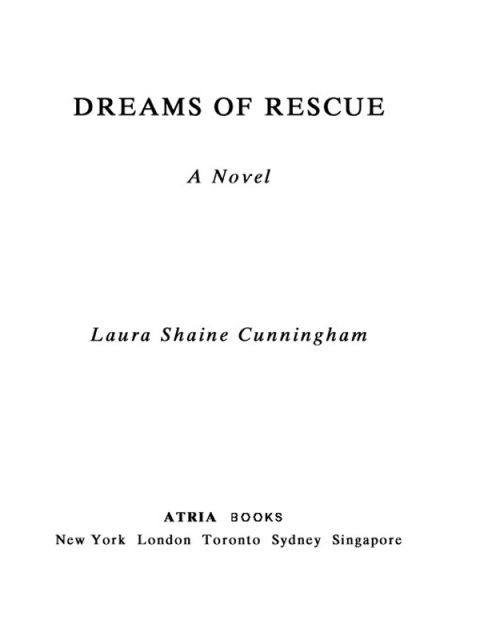 Cover image for book Dreams of Rescue
