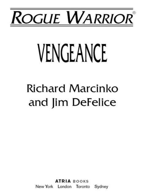 Cover image for book Vengeance