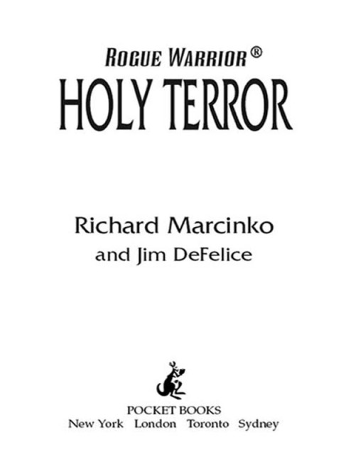 Cover image for book Holy Terror