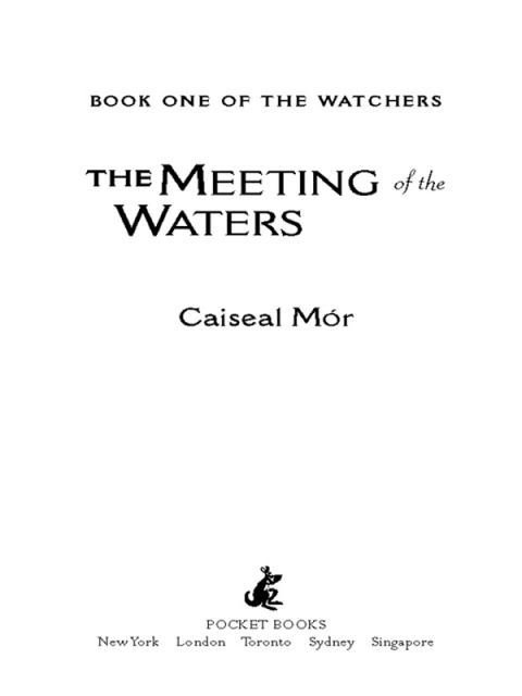 Cover image for book The Meeting of the Waters