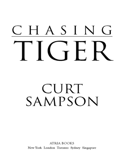 Cover image for book Chasing Tiger
