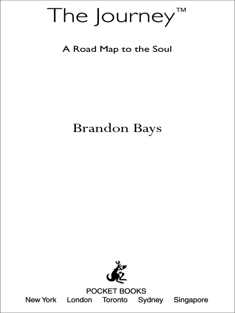 Cover image for book The Journey