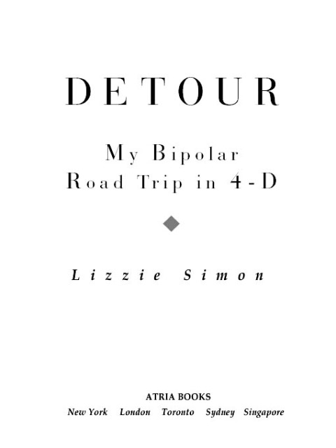 Cover image for book Detour