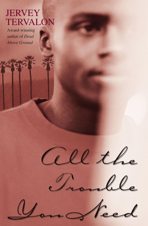 Cover image for book All the Trouble You Need