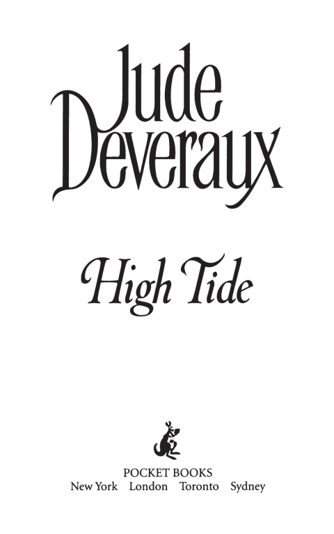 Cover image for book High Tide