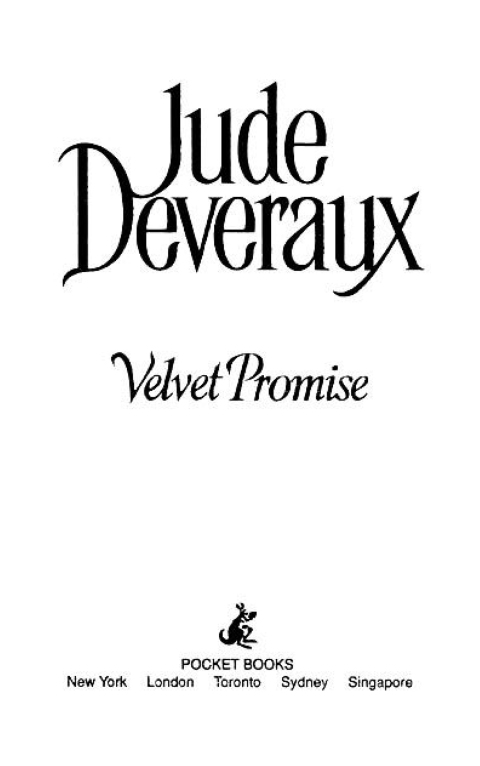 Cover image for book The Velvet Promise