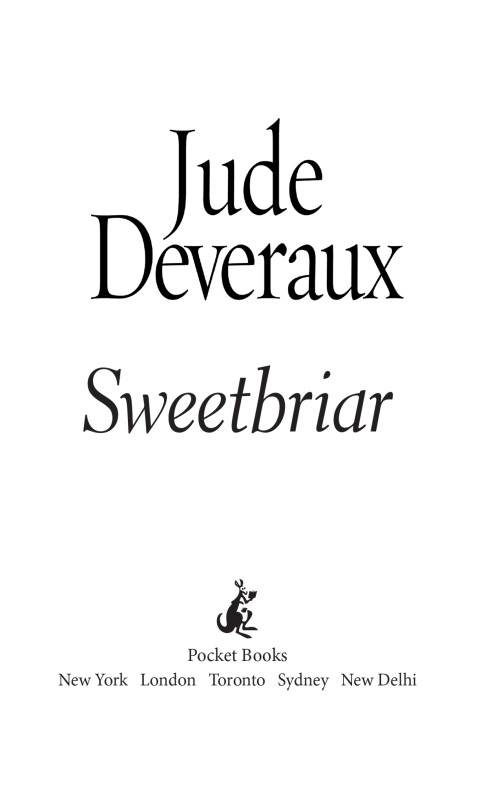 Cover image for book Sweetbriar