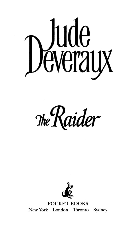 Cover image for book The Raider