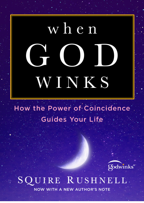 Cover image for book When God Winks