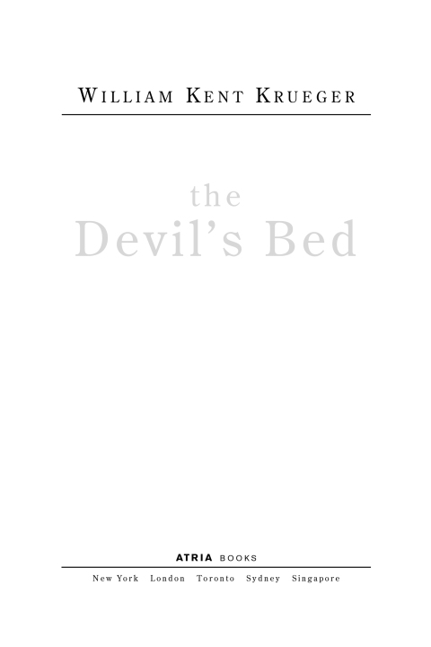 Cover image for book The Devil's Bed