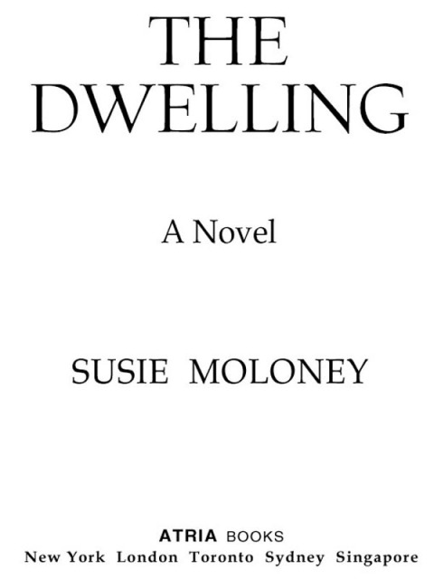 Cover image for book The Dwelling