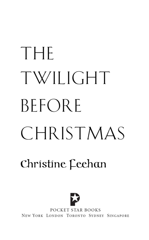 Cover image for book The Twilight Before Christmas